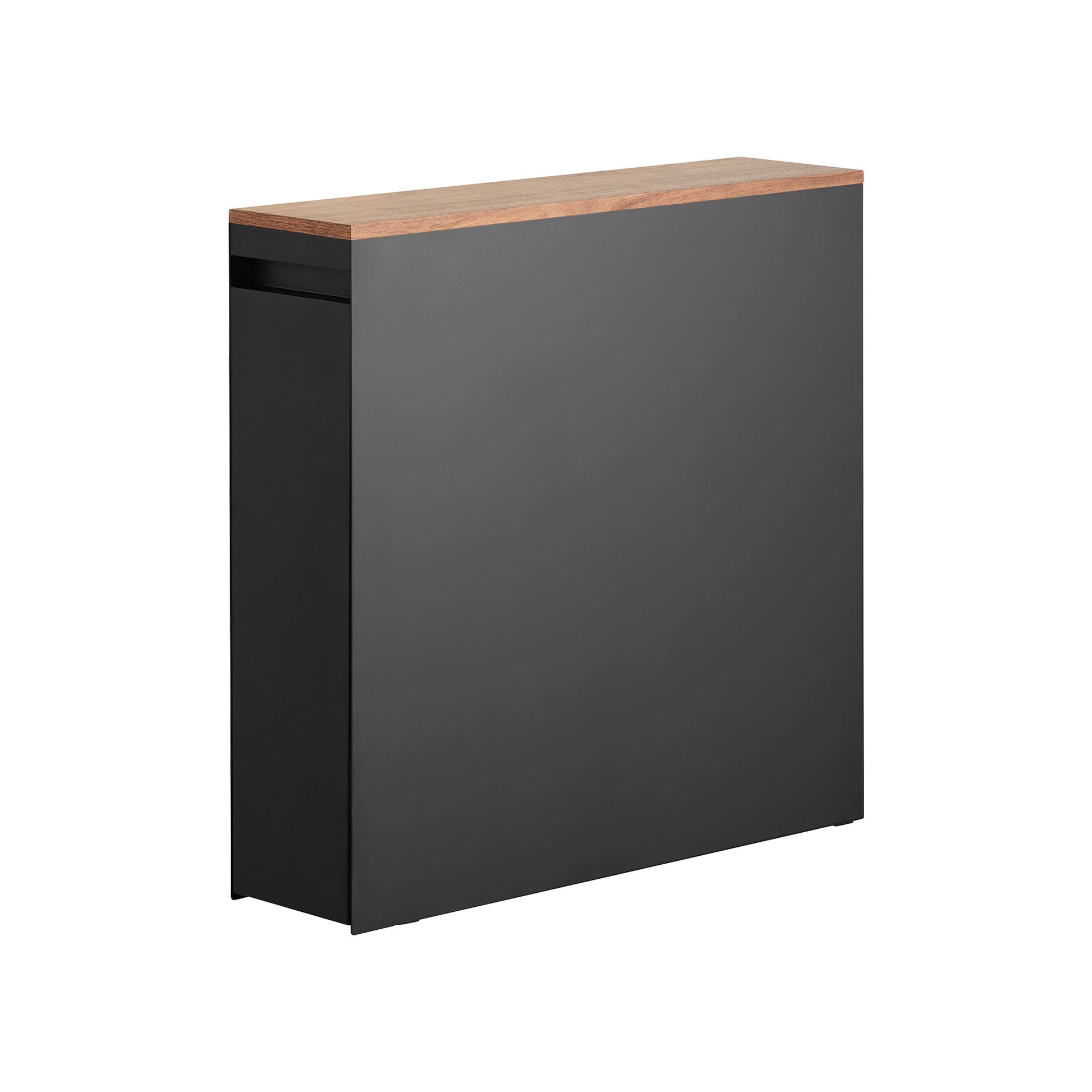 Pull-Out Bathroom Storage Cabinet - Steel + Wood â€” image 2