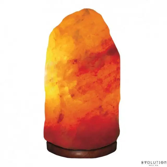 Salt Lamp with Touch Dimmer Switch 5-7 lbs