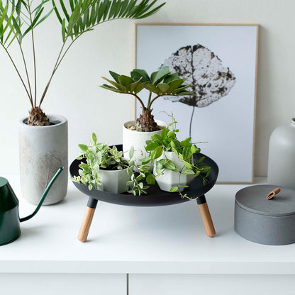 Frontal view of black Yamazaki Countertop Pedestal Tray with plants on top