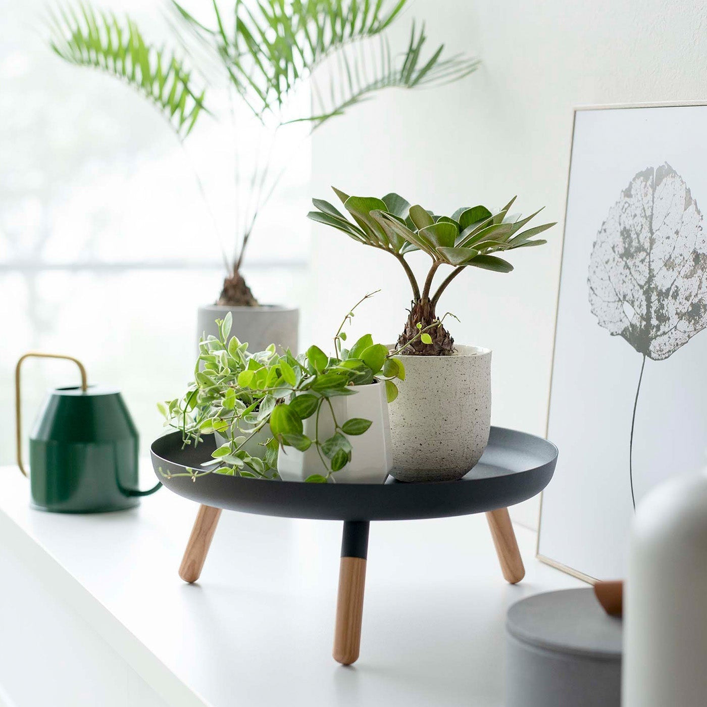 Black Yamazaki Countertop Pedestal Tray with plants on top