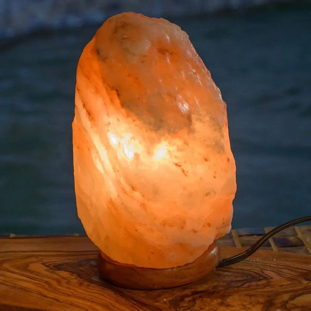 Natural Himalayan Salt Lamps-L