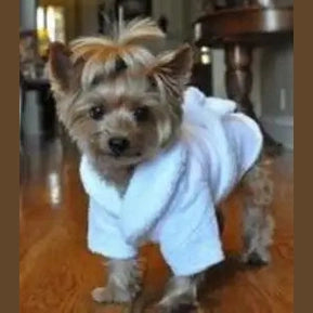 Boca Terry Dog Bathrobe - X-Small