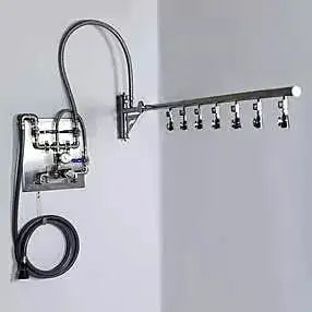 WaterWerks Blast Vichy Shower