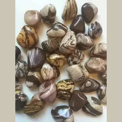 Zebra Jasper Tumbled Stone